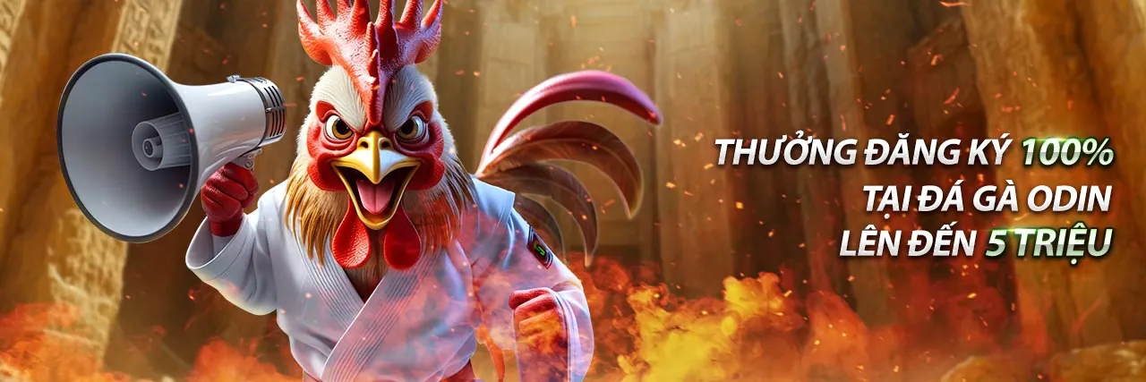 Ứng dụng 789 net trên điện thoại di động